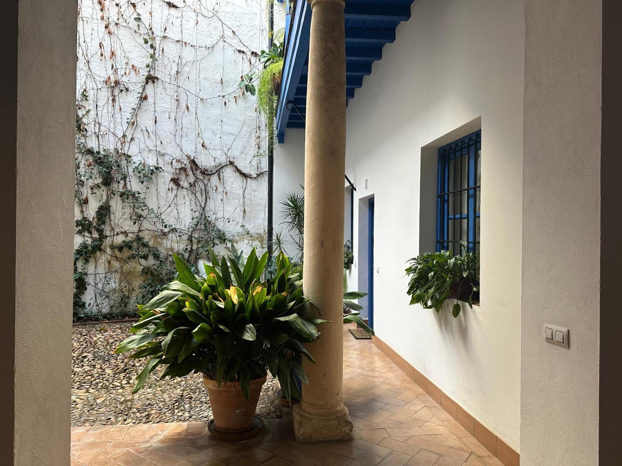 Vidrio 30-32 Appartement Sevilla Buitenkant foto